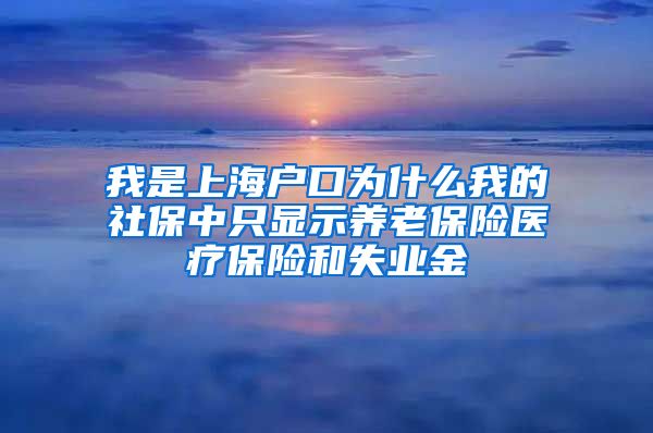 我是上海户口为什么我的社保中只显示养老保险医疗保险和失业金