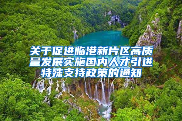 关于促进临港新片区高质量发展实施国内人才引进特殊支持政策的通知