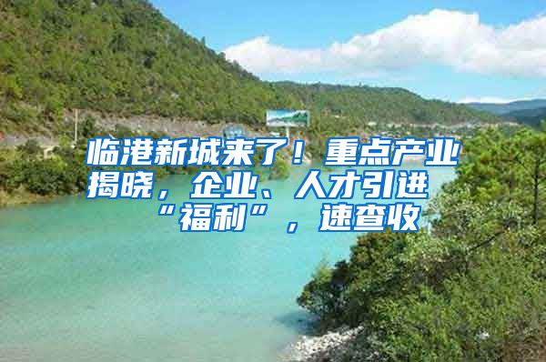 临港新城来了！重点产业揭晓，企业、人才引进“福利”，速查收→