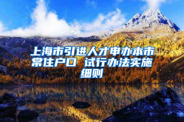 上海市引进人才申办本市常住户口 试行办法实施细则