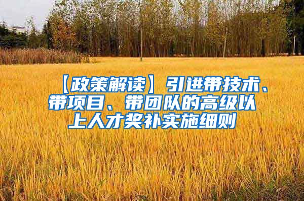 【政策解读】引进带技术、带项目、带团队的高级以上人才奖补实施细则