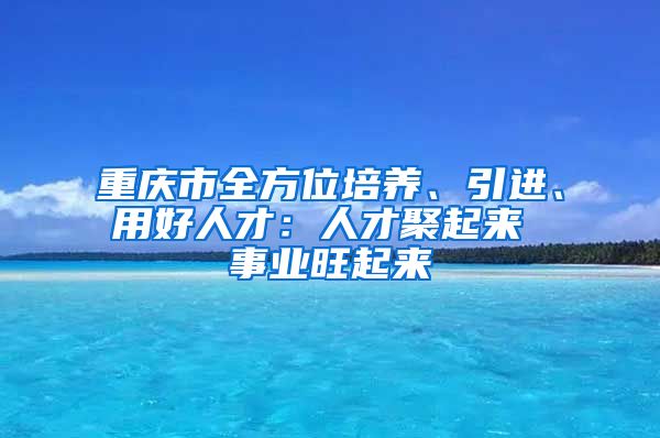 重庆市全方位培养、引进、用好人才：人才聚起来 事业旺起来