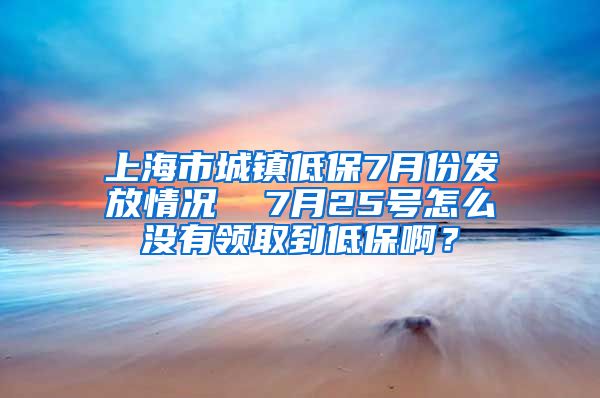 上海市城镇低保7月份发放情况  7月25号怎么没有领取到低保啊？