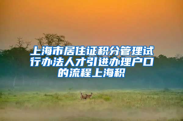 上海市居住证积分管理试行办法人才引进办理户口的流程上海积