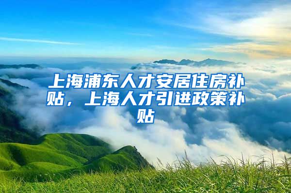 上海浦东人才安居住房补贴，上海人才引进政策补贴