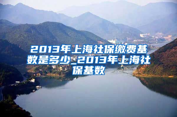 2013年上海社保缴费基数是多少_2013年上海社保基数