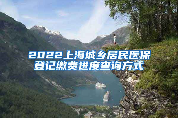 2022上海城乡居民医保登记缴费进度查询方式