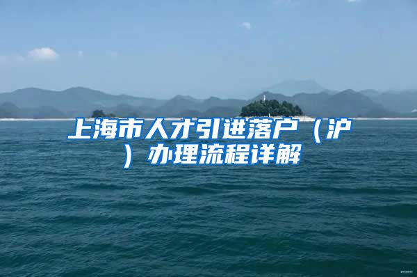 上海市人才引进落户（沪）办理流程详解