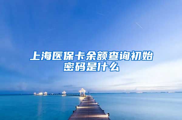 上海医保卡余额查询初始密码是什么