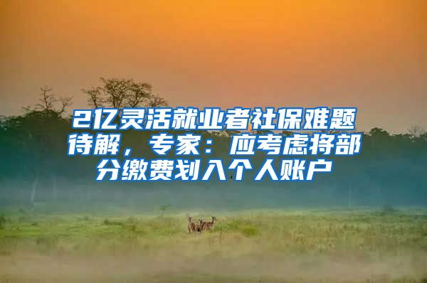 2亿灵活就业者社保难题待解，专家：应考虑将部分缴费划入个人账户