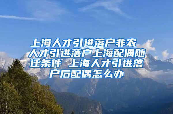 上海人才引进落户非农 人才引进落户上海配偶随迁条件 上海人才引进落户后配偶怎么办