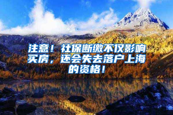 注意！社保断缴不仅影响买房，还会失去落户上海的资格！