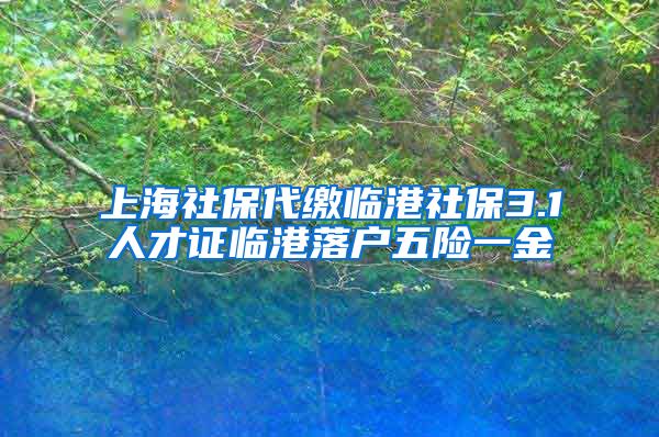 上海社保代缴临港社保3.1人才证临港落户五险一金