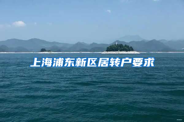 上海浦东新区居转户要求