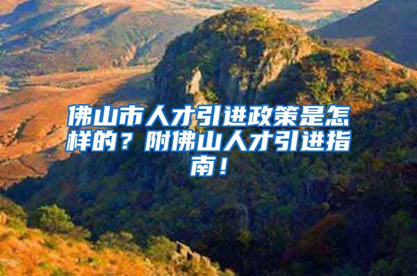 佛山市人才引进政策是怎样的？附佛山人才引进指南！