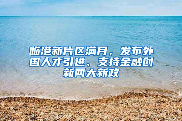 临港新片区满月，发布外国人才引进、支持金融创新两大新政