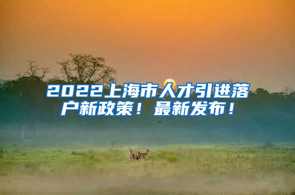 2022上海市人才引进落户新政策！最新发布！