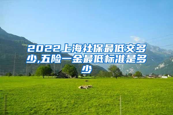 2022上海社保最低交多少,五险一金最低标准是多少