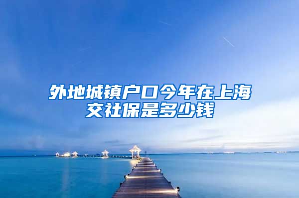 外地城镇户口今年在上海交社保是多少钱