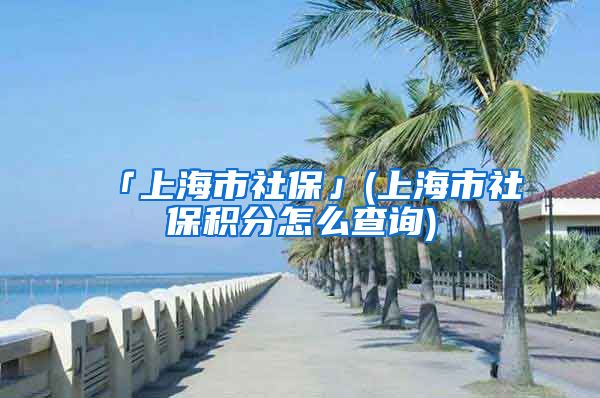 「上海市社保」(上海市社保积分怎么查询)