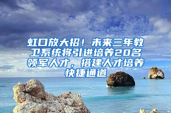 虹口放大招！未来三年教卫系统将引进培养20名领军人才，搭建人才培养快捷通道