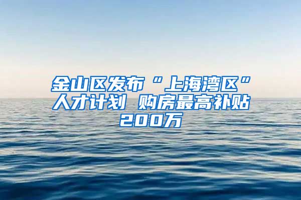 金山区发布“上海湾区”人才计划 购房最高补贴200万