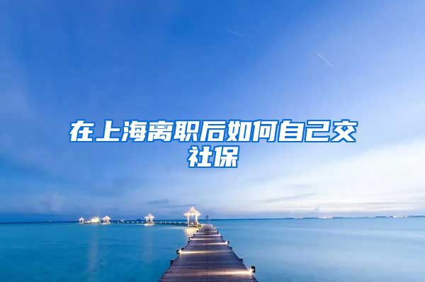 在上海离职后如何自己交社保