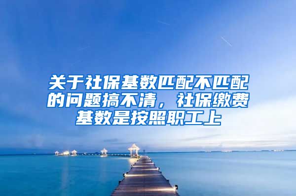 关于社保基数匹配不匹配的问题搞不清，社保缴费基数是按照职工上