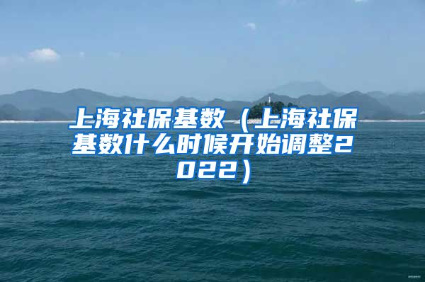 上海社保基数（上海社保基数什么时候开始调整2022）