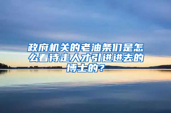 政府机关的老油条们是怎么看待走人才引进进去的博士的？