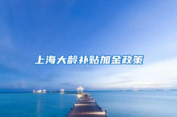 上海大龄补贴加金政策