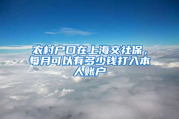 农村户口在上海交社保，每月可以有多少钱打入本人账户