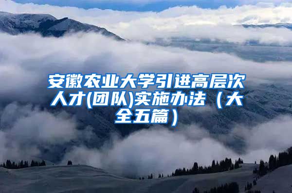 安徽农业大学引进高层次人才(团队)实施办法（大全五篇）