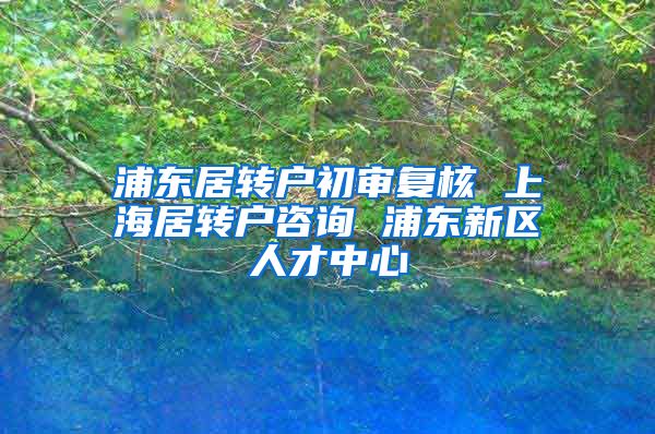 浦东居转户初审复核 上海居转户咨询 浦东新区人才中心