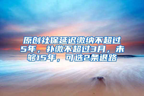 原创社保延迟缴纳不超过5年，补缴不超过3月，未够15年，可选2条退路