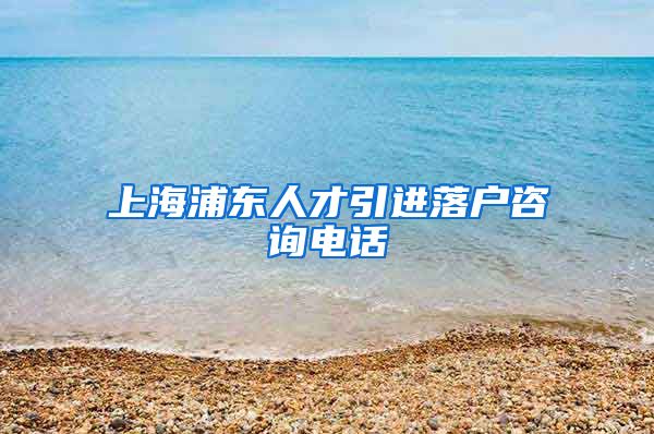 上海浦东人才引进落户咨询电话