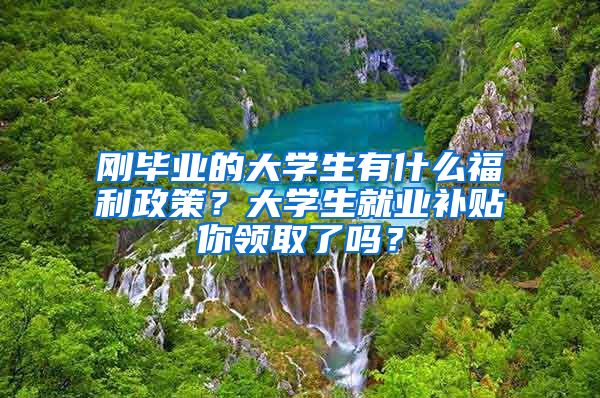 刚毕业的大学生有什么福利政策？大学生就业补贴你领取了吗？