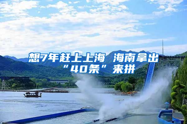 想7年赶上上海 海南拿出“40条”来拼