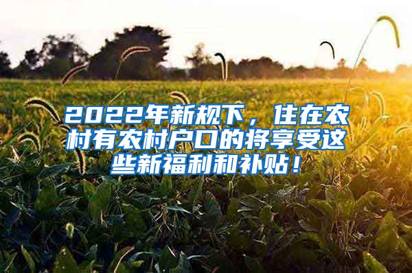 2022年新规下，住在农村有农村户口的将享受这些新福利和补贴！