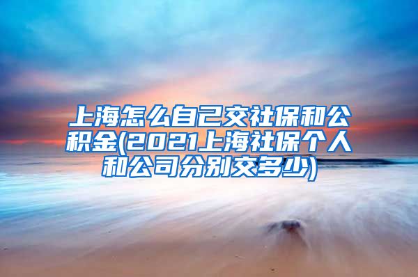 上海怎么自己交社保和公积金(2021上海社保个人和公司分别交多少)