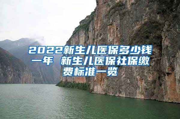 2022新生儿医保多少钱一年 新生儿医保社保缴费标准一览