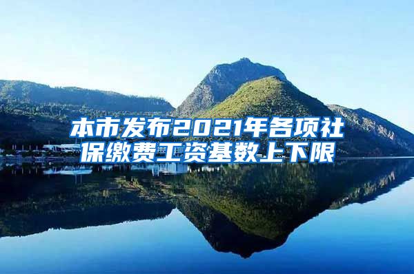 本市发布2021年各项社保缴费工资基数上下限