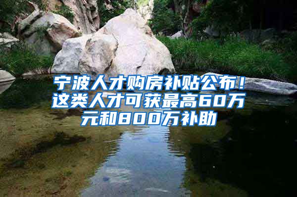 宁波人才购房补贴公布！这类人才可获最高60万元和800万补助