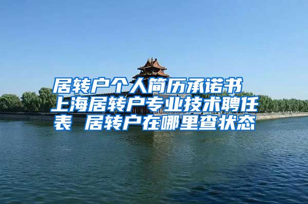 居转户个人简历承诺书 上海居转户专业技术聘任表 居转户在哪里查状态