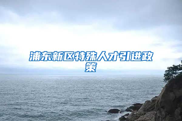 浦东新区特殊人才引进政策