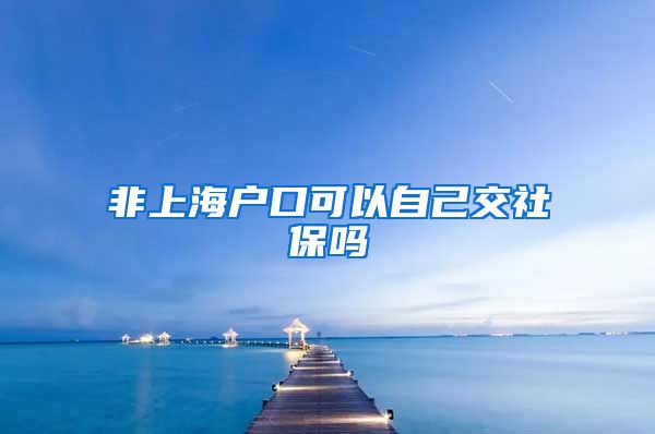 非上海户口可以自己交社保吗