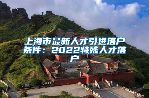 上海市最新人才引进落户条件：2022特殊人才落户