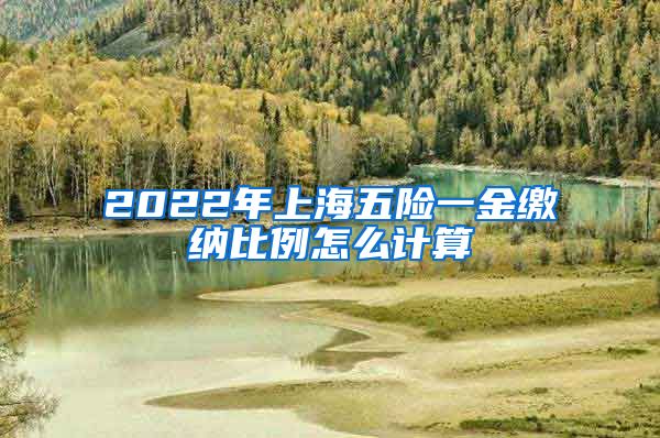 2022年上海五险一金缴纳比例怎么计算