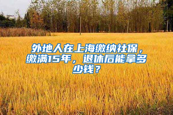 外地人在上海缴纳社保，缴满15年，退休后能拿多少钱？