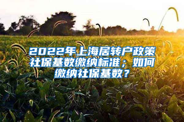 2022年上海居转户政策社保基数缴纳标准；如何缴纳社保基数？